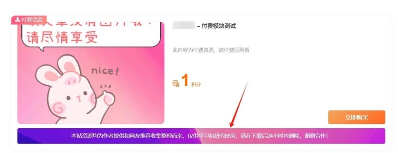 Zibll主题 – 付费详情说明模块样式