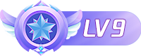 等级-LV9-龙盟网