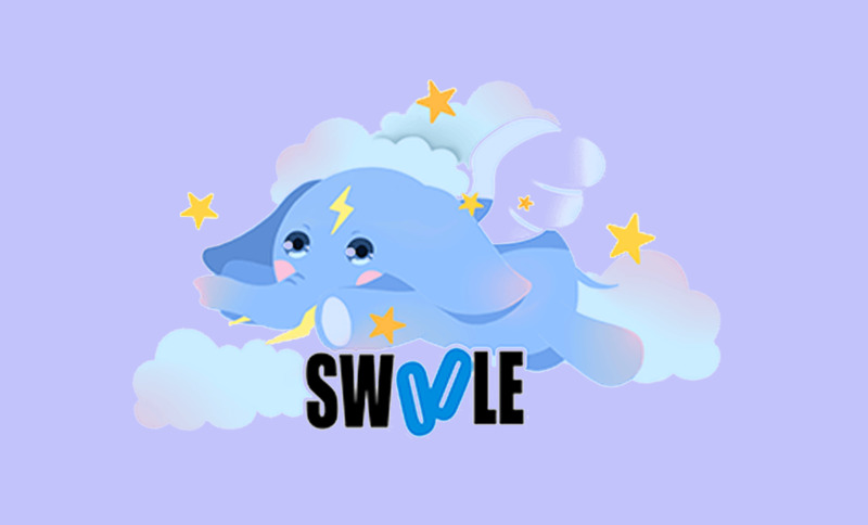 Swoole Loader扩展包-龙盟网